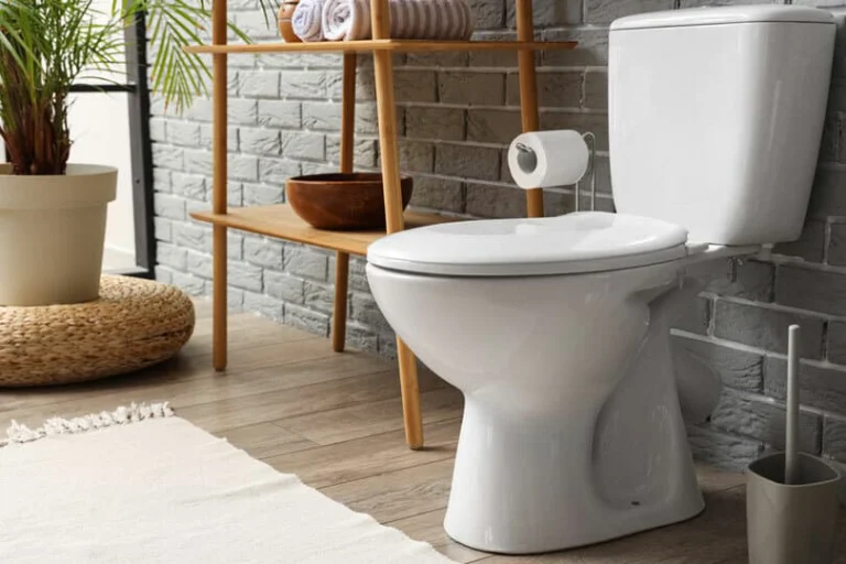 A photo of the toilet in an upscale bathroom