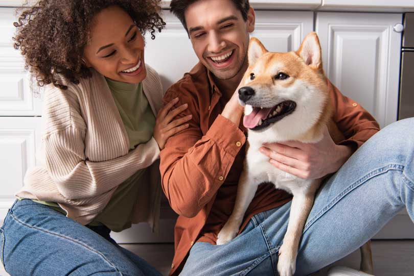 Couple sitting with a dog.