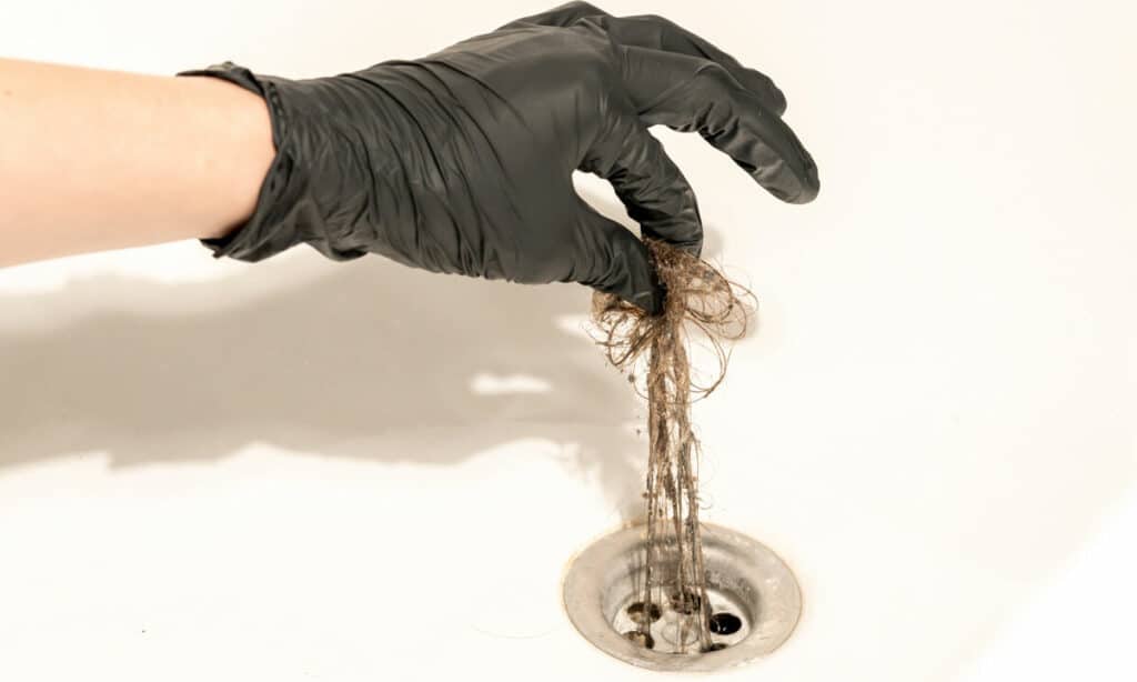 Clog Solutions When To Use A Drain Snake And When To Call A Pro B