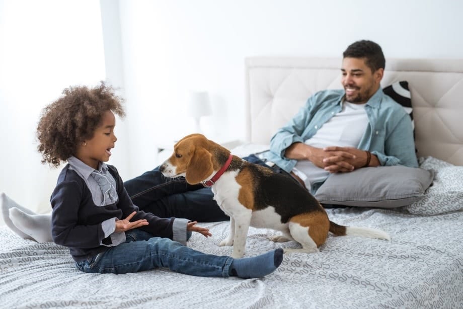 A family hanging out with their dog