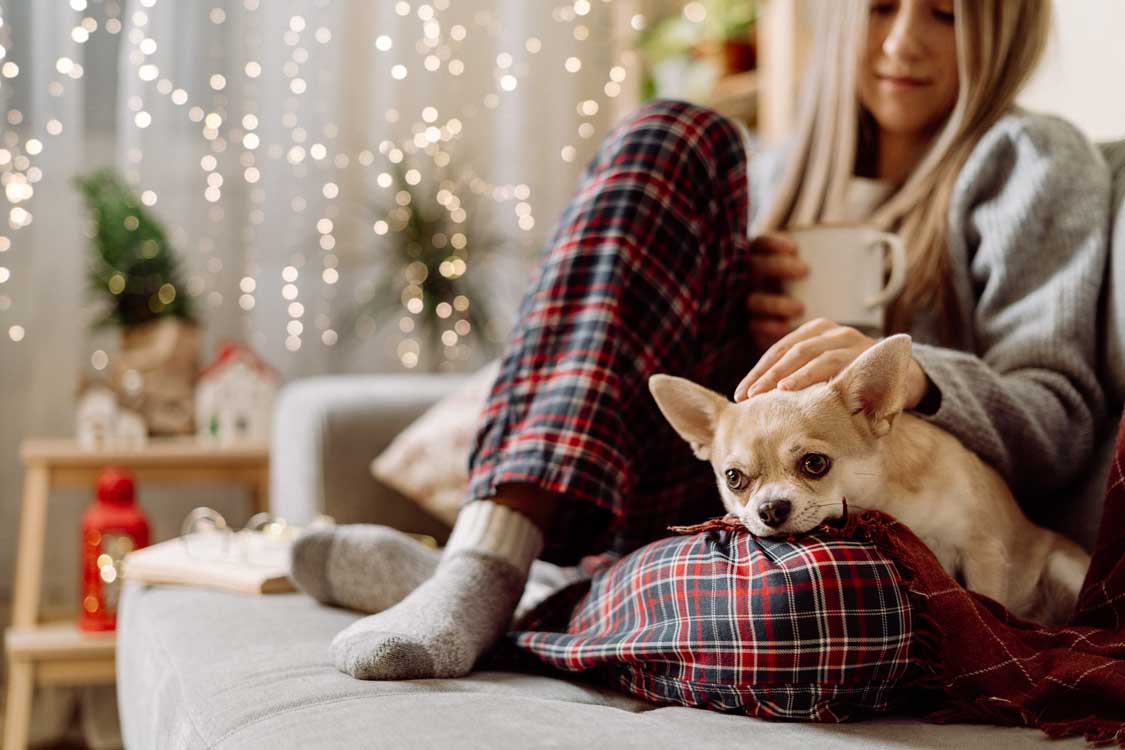 A girl and her Chihuahua dog sit on a couch in winter with Christmas lights behind them